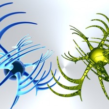 brain fitness estimule seus neuronios